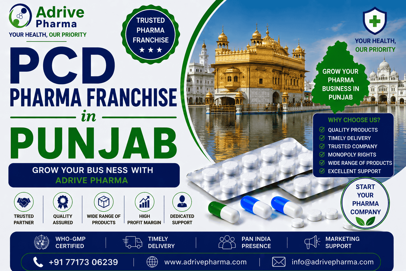 PCD Pharma Franchise in Punjab – Grow Your Business with Adrive Pharma